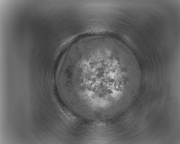 X0000059850640200511041840