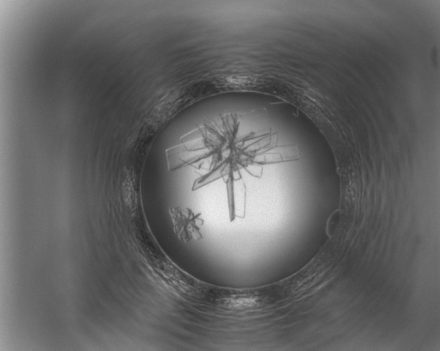 X0000059850651200511041840