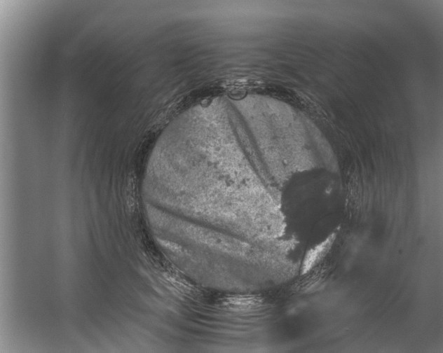 X0000059850659200511041841