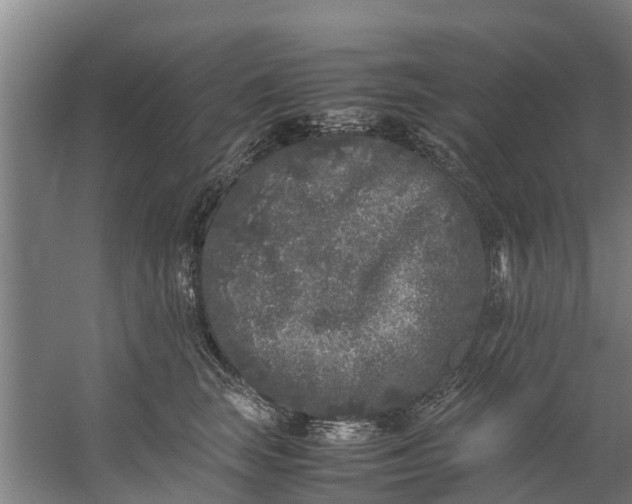 X0000059850663200511041841