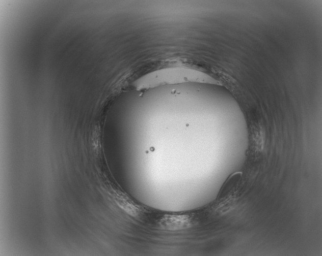 X0000059850665200511041841