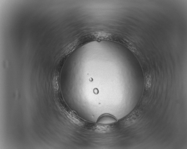 X0000059850666200511041841