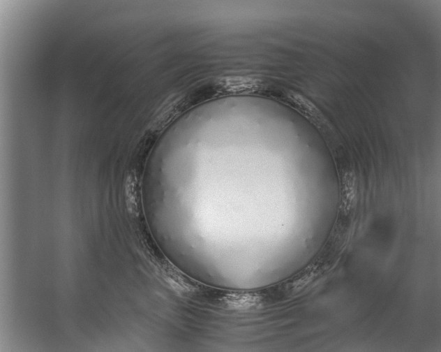 X0000059850667200511041841