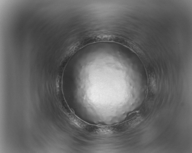 X0000059850668200511041841