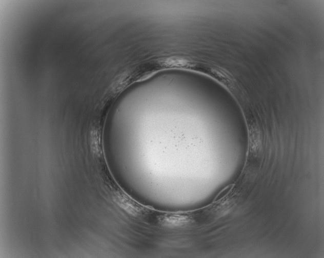 X0000059850669200511041841