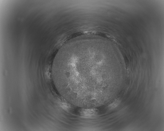 X0000059850671200511041841