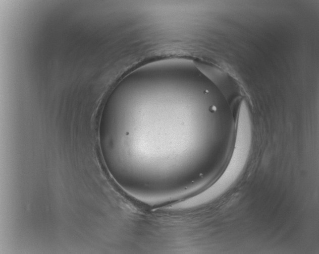 X0000059850673200511041840