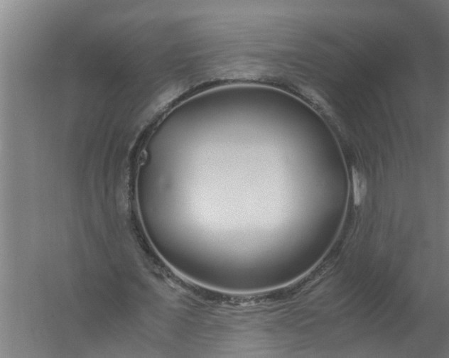 X0000059850675200511041840