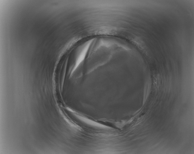 X0000059850678200511041840