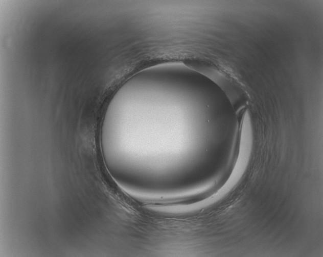 X0000059850681200511041840