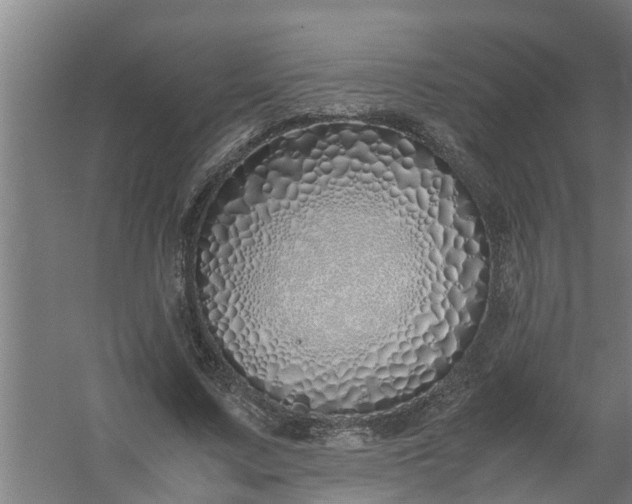 X0000059850683200511041840