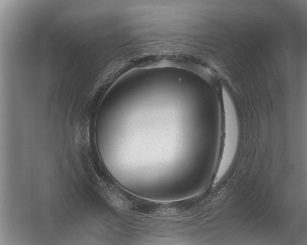 X0000059850685200511041840