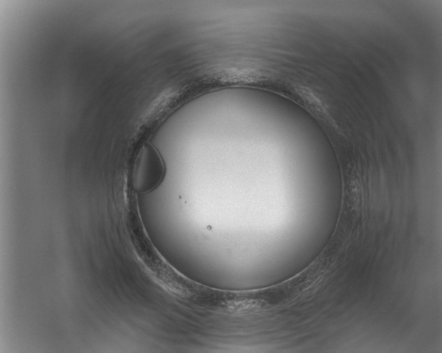 X0000059850686200511041840