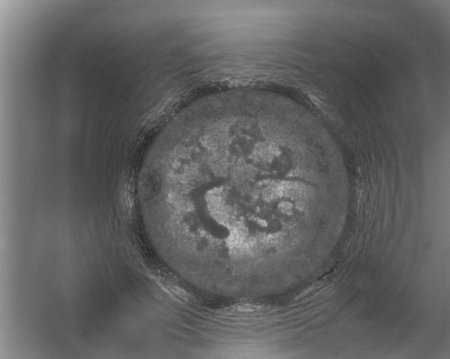 X0000059850691200511041840