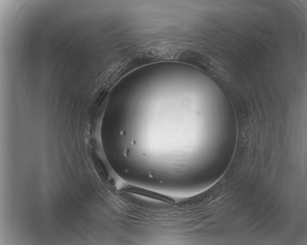 X0000059850693200511041840