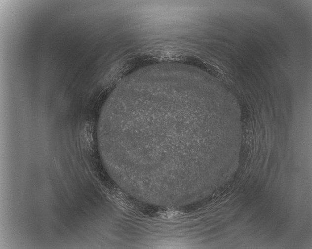 X0000059850695200511041840