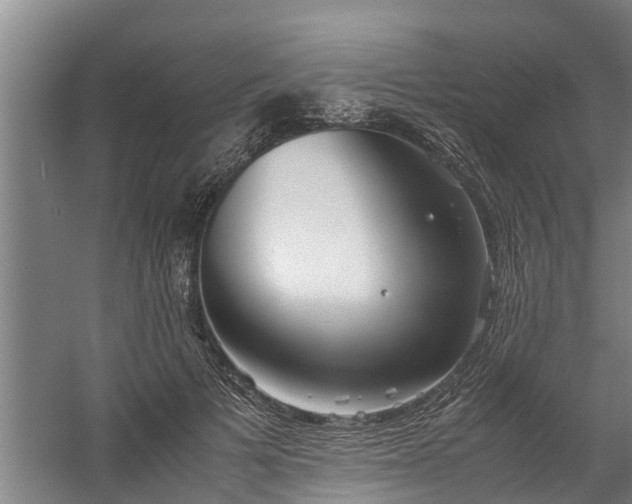 X0000059850697200511041840