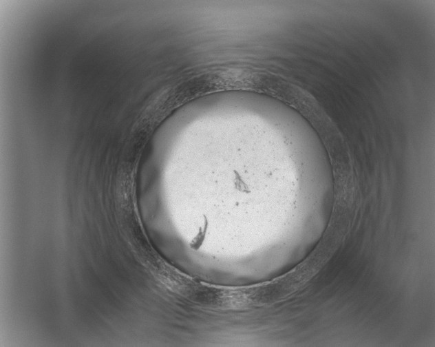 X0000059850701200511041839