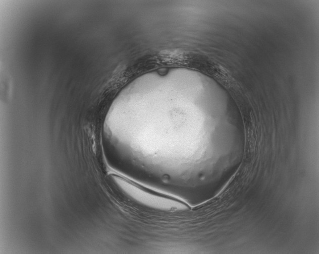 X0000059850703200511041839