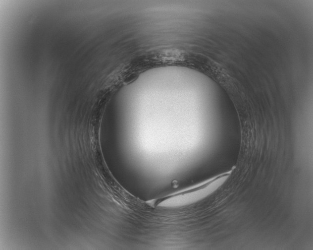 X0000059850704200511041839