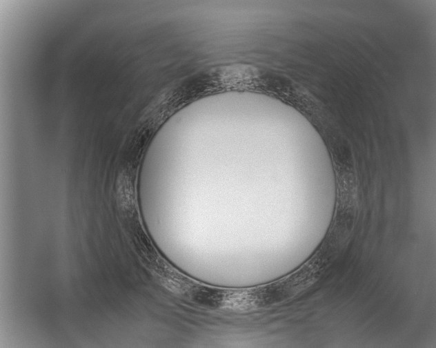 X0000059850705200511041839