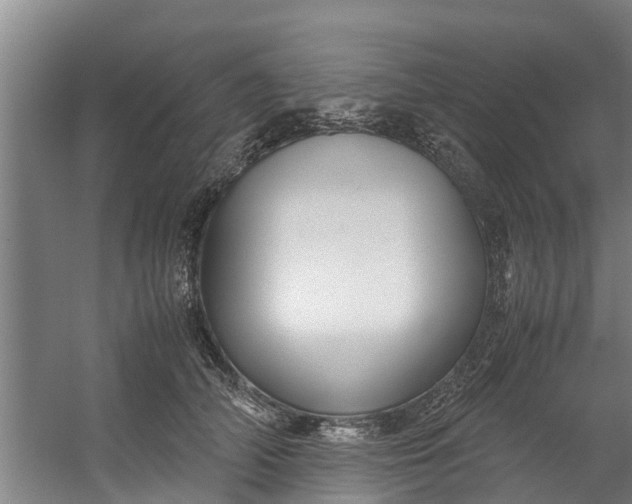 X0000059850706200511041839