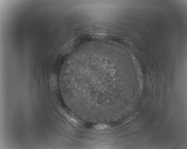 X0000059850711200511041839