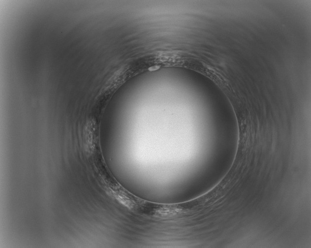 X0000059850712200511041839