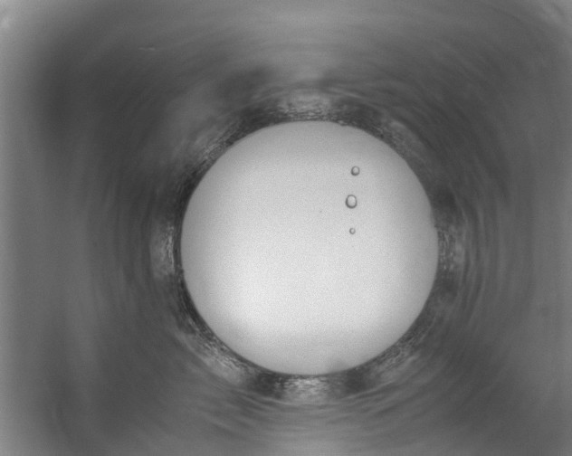 X0000059850717200511041839