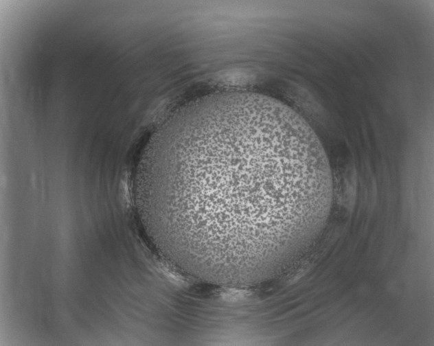 X0000059850718200511041839