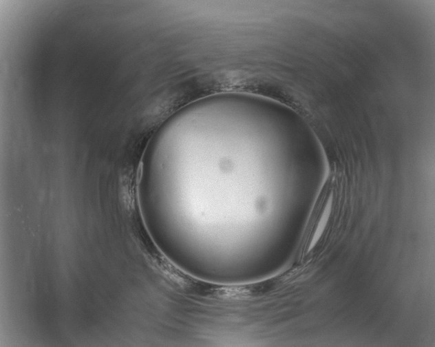 X0000059850719200511041839