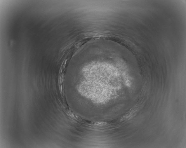 X0000059850720200511041839