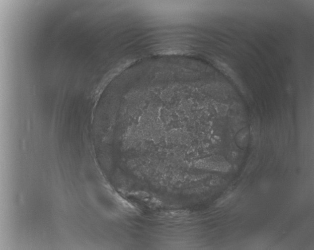 X0000059850721200511041838