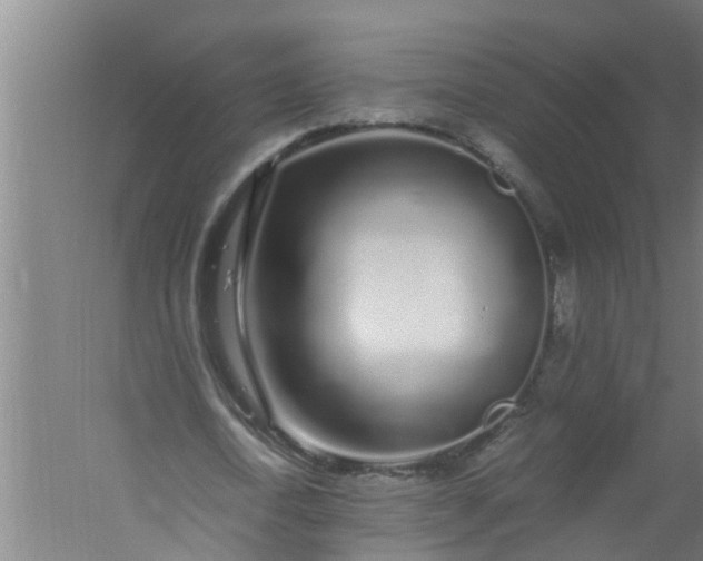 X0000059850722200511041838