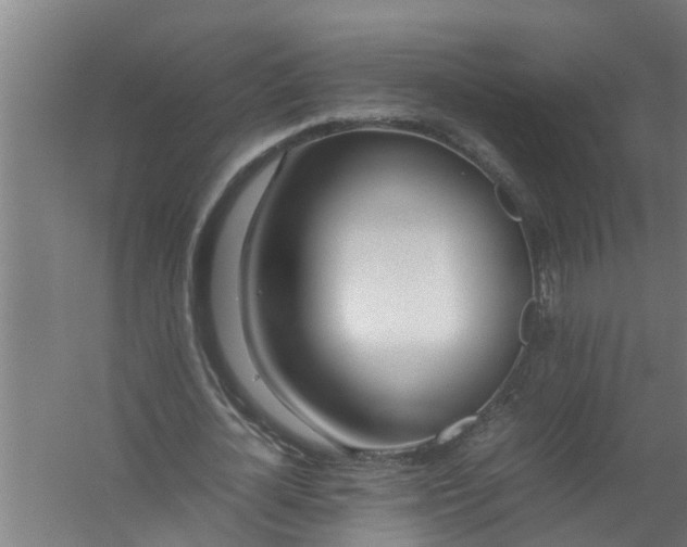 X0000059850724200511041838