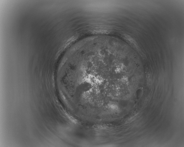 X0000059850729200511041838