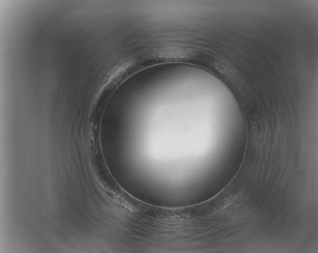 X0000059850731200511041839