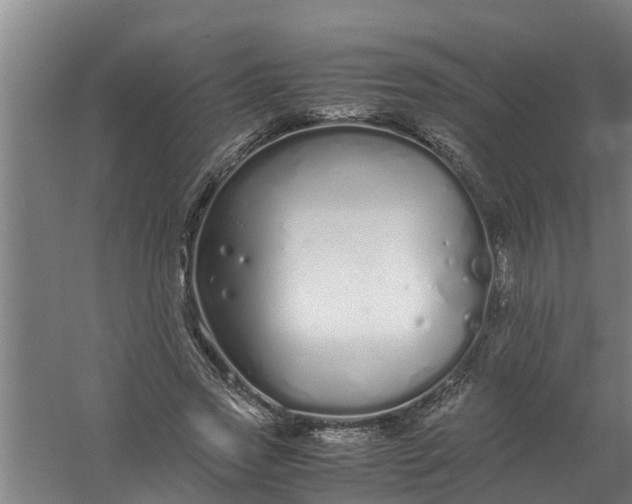 X0000059850733200511041839