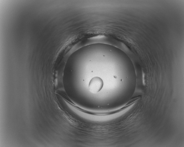 X0000059850735200511041839