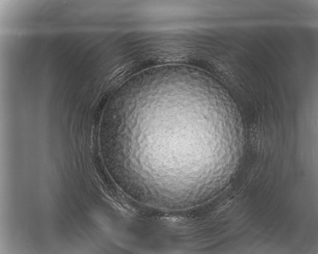 X0000059850741200511041839