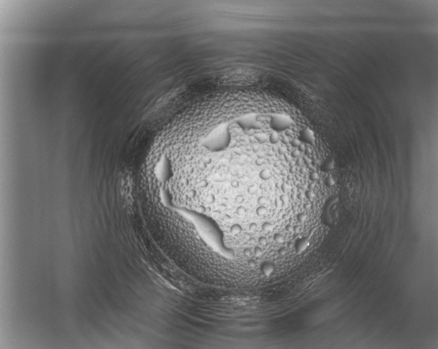 X0000059850745200511041839