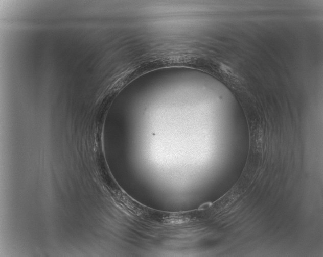 X0000059850746200511041839