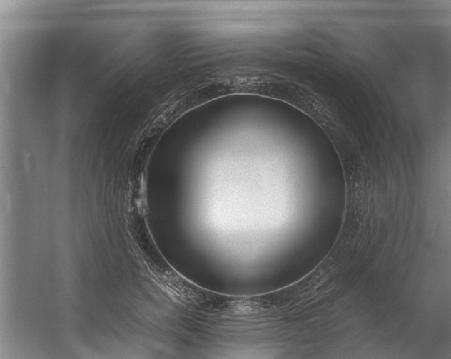 X0000059850750200511041839