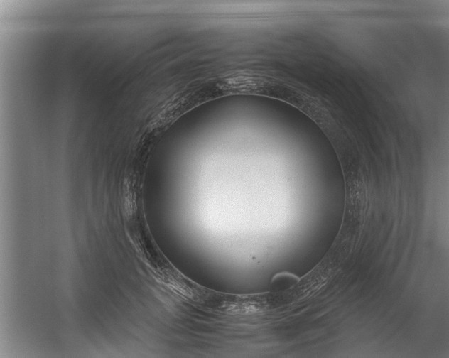 X0000059850751200511041839