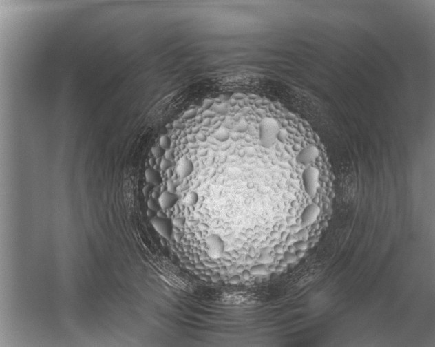 X0000059850753200511041839