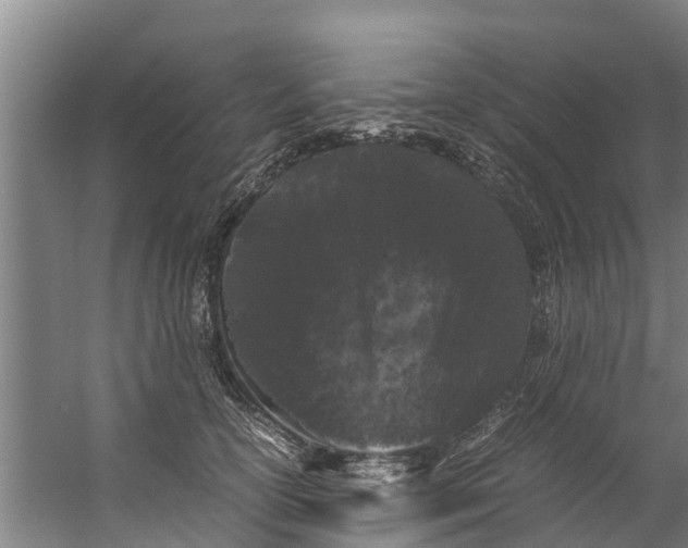 X0000059850754200511041839