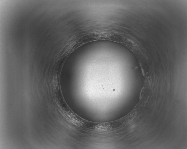 X0000059850756200511041839