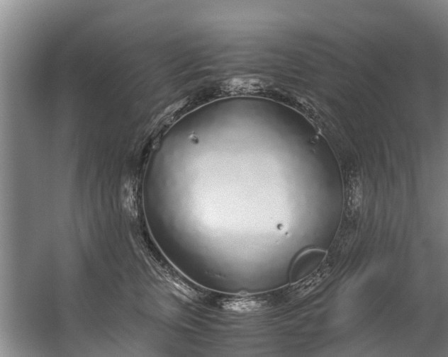 X0000059850759200511041839