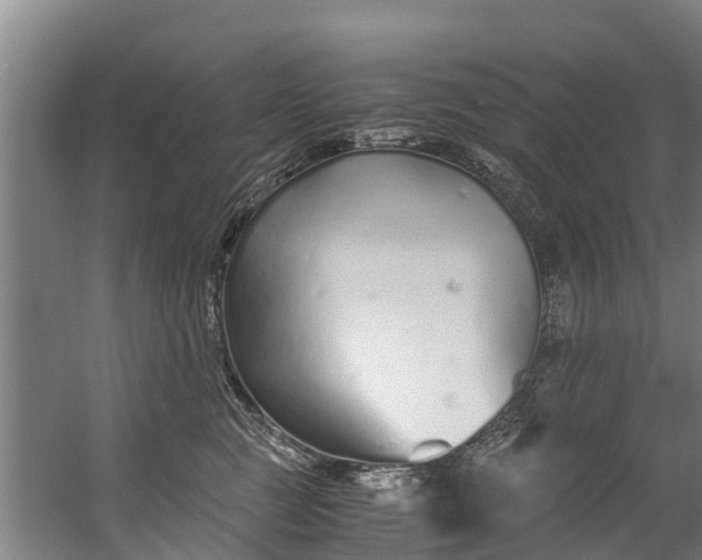 X0000059850761200511041839