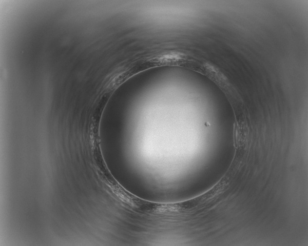 X0000059850762200511041839